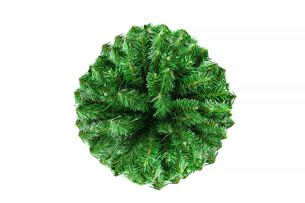 CONIFER