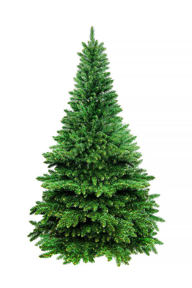 Half tree