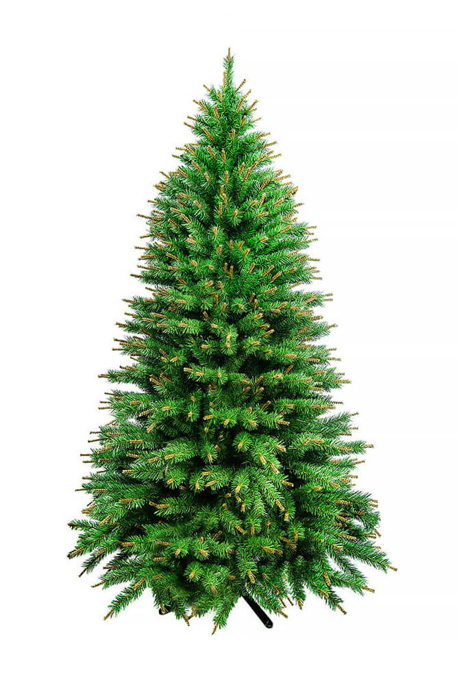 Norway tree
